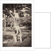 French Country Study: Two Boys Climbing a Tree, late 1870's by Auguste Giraudon's Artist