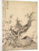 Frosted Branches and Dwarf Bamboo, 1847 by Tsubaki Chinzan