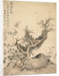 Frosted Branches and Dwarf Bamboo, 1847 by Tsubaki Chinzan