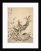 Frosted Branches and Dwarf Bamboo, 1847 by Tsubaki Chinzan