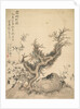 Frosted Branches and Dwarf Bamboo, 1847 by Tsubaki Chinzan