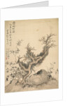 Frosted Branches and Dwarf Bamboo, 1847 by Tsubaki Chinzan