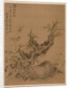 Frosted Branches and Dwarf Bamboo, in the Style of Su Shih, 1775 by Zhai Dakun