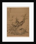 Frosted Branches and Dwarf Bamboo, in the Style of Su Shih, 1775 by Zhai Dakun