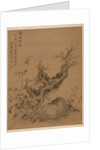 Frosted Branches and Dwarf Bamboo, in the Style of Su Shih, 1775 by Zhai Dakun