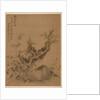 Frosted Branches and Dwarf Bamboo, in the Style of Su Shih, 1775 by Zhai Dakun
