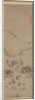 Geese Returning Home, 1500s by Unknown