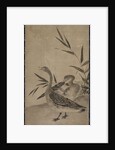 Geese, Muromachi period, 1392-1573 by Soami (circle of)