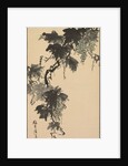 Grapes, 1800s by Baikan Sugai