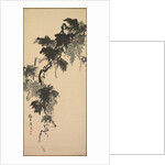 Grapes, 1800s by Baikan Sugai