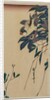 Grosbeak and Clematis, mid-1830s by Ando Hiroshige