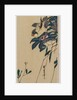 Grosbeak and Clematis, mid-1830s by Ando Hiroshige
