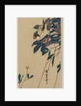 Grosbeak and Clematis, mid-1830s by Ando Hiroshige