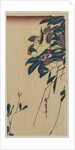 Grosbeak and Clematis, mid-1830s by Ando Hiroshige