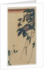 Grosbeak and Clematis, mid-1830s by Ando Hiroshige