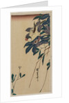 Grosbeak and Clematis, mid-1830s by Ando Hiroshige