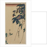 Grosbeak and Clematis, mid-1830s by Ando Hiroshige