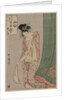 Hanaogi of Ogiya from the series Picture Puzzles, c. 1797 by Kitagawa Utamaro