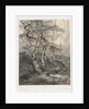 Hare Pursued by a Goshawk, 1858 by Karl Bodmer