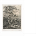 Hare Pursued by a Goshawk, 1858 by Karl Bodmer