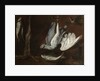 Hare, Spoonbill, and Fish, mid-1600s by Unknown