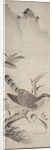 Hawk, mid 1500s by Masayoshi Fujiwara