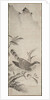 Hawk, mid 1500s by Masayoshi Fujiwara