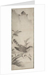 Hawk, mid 1500s by Masayoshi Fujiwara