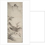 Hawk, mid 1500s by Masayoshi Fujiwara