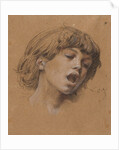 Head of a Boy Singing, c. 1898 by Luc-Olivier Merson