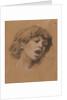 Head of a Boy Singing, c. 1898 by Luc-Olivier Merson