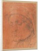Head of a Man in a Cap, 16th century by Anonymous; Albrecht Dürer