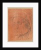 Head of a Man in a Cap, 16th century by Anonymous; Albrecht Dürer
