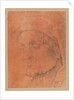 Head of a Man in a Cap, 16th century by Anonymous; Albrecht Dürer