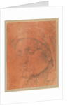 Head of a Man in a Cap, 16th century by Anonymous; Albrecht Dürer