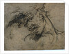 Head of a Screaming Man, 1792 by Benjamin West