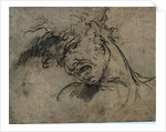 Head of a Screaming Man, 1792 by Benjamin West