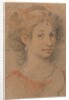 Head of a Woman, 1600s by Anonymous