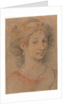 Head of a Woman, 1600s by Anonymous
