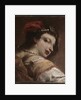 Head of a Woman, c. 1739 by Antonio Guardi