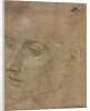 Head of a Young Man, second half 1400s by Filippino Lippi