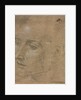 Head of a Young Man, second half 1400s by Filippino Lippi