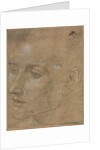 Head of a Young Man, second half 1400s by Filippino Lippi