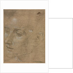 Head of a Young Man, second half 1400s by Filippino Lippi