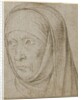 Head of an Old Woman, c. 1500 by Hans Holbein