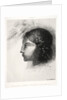 Homage to Goya: Upon Awakening I Saw the Goddess of the Intelligible?, 1885 by Odilon Redon
