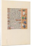 Hours of Queen Isabella the Catholic, Queen of Spain: Fol. 106r, c. 1500 by Master of the First Prayerbook of Maximillian