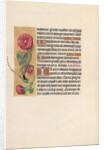 Hours of Queen Isabella the Catholic, Queen of Spain: Fol. 110v, c. 1500 by Master of the First Prayerbook of Maximillian