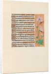 Hours of Queen Isabella the Catholic, Queen of Spain: Fol. 113r, c. 1500 by Master of the First Prayerbook of Maximillian