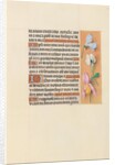 Hours of Queen Isabella the Catholic, Queen of Spain: Fol. 118r, c. 1500 by Master of the First Prayerbook of Maximillian